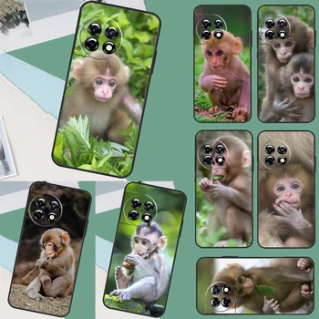 Милый чехол для животных Baby Monkey для OnePlus 11 8 9 10 Pro 8T 9RT 10R 10T Чехол OnePlus Nord CE 2 3 Lite 2T N10 N20 N30